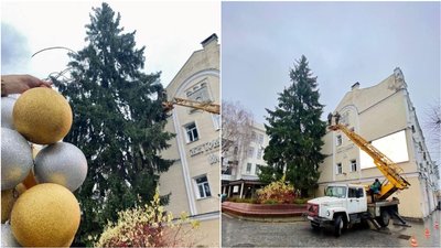 Кропивницька ялинка найнижча і найдешевша в Україні, найдорожча – у Дніпрі