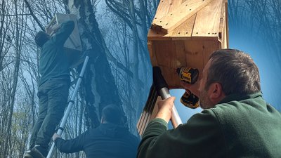 Сов'ятники встановили у нацпарку на Рівненщині