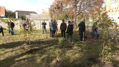 На згадку про боротьбу українців: у Черкасах висадили "Гай нескорених" На згадку про боротьбу українців: у Черкасах висадили "Гай нескорених"
