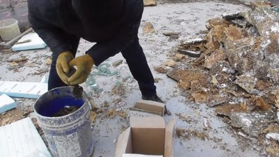 У Івано-Франківську врятували 225 кажанчиків У Івано-Франківську врятували 225 кажанчиків