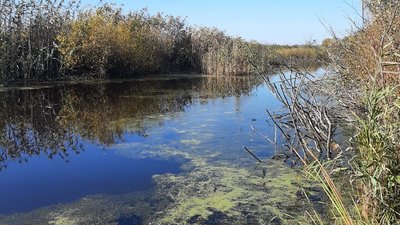 У водоймі на Сумщині знайшли тіло 18-річного юнака, який пропав безвісти У водоймі на Сумщині знайшли тіло 18-річного юнака, який пропав безвісти