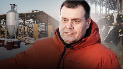 ферма, мокра рокитна, корови, 67 ферм розбили росіяни на Харківщині