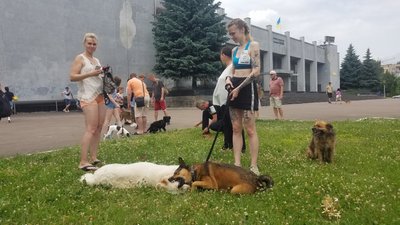 Благодійний забіг із собаками в Рівному. Як це проходить