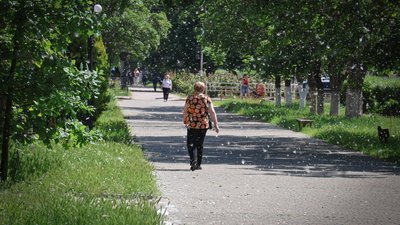 Херсон, погода, природа, вулиця, місто, тополиний пух