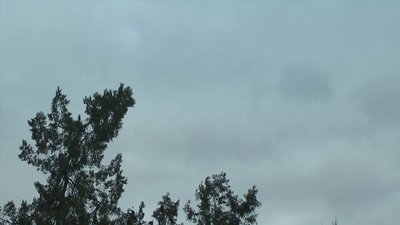 Із 12 грудня на Миколаївщині очікуються морози