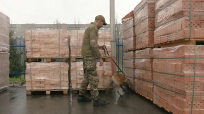 Шукають вибухівку та наркотики собачки Шукають вибухівку та наркотики собачки