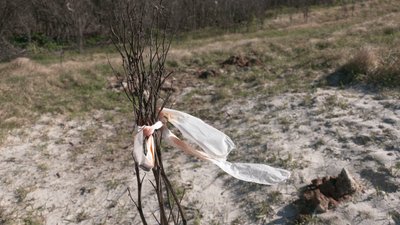 Балаклійська громада: найбільш заміновані села Балаклійська громада: найбільш заміновані села