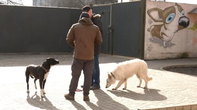 ЛКП "Лев" ЛКП "Лев"