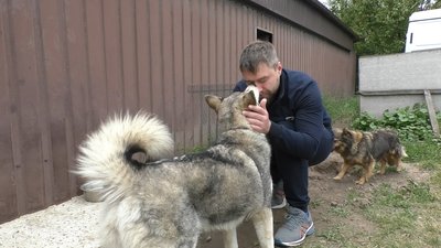 "Тварин віддавали з човна": волонтери евакуювали собак з Херсона до Сум "Тварин віддавали з човна": волонтери евакуювали собак з Херсона до Сум