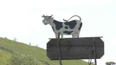 Бізнес на висоті. Як відкриття ринку землі впливає на прикарпатські полонини Бізнес на висоті. Як відкриття ринку землі впливає на прикарпатські полонини