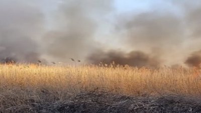 Майже п'ять годин горить Чистилівський заказник на Тернопільщині Майже п'ять годин горить Чистилівський заказник на Тернопільщині