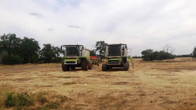 19 млн грн збитків державі - на Запоріжжі оголосили підозру директору державного підприємства НААУ