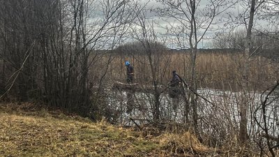 На Волині другий день розшукують 17-річну студентку з Камінь-Каширського району