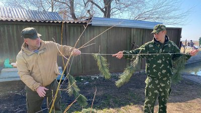 На водоймах Миколаївщини встановлюють штучні нерестовища