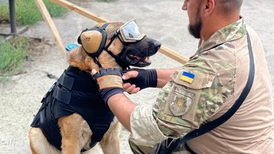 Захист для чотирилапих: дніпровські кінологи отримали амуніцію для службових собак Захист для чотирилапих: дніпровські кінологи отримали амуніцію для службових собак