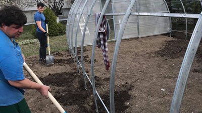 На Тернопільщині сироти вирощують врожай овочів На Тернопільщині сироти вирощують врожай овочів