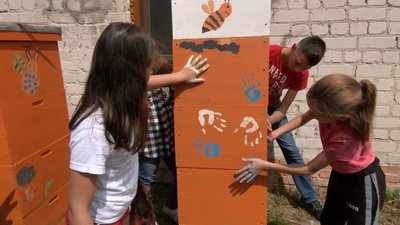 Волинський пасічник виготовляє корпусні вулики для бджіл Волинський пасічник виготовляє корпусні вулики для бджіл