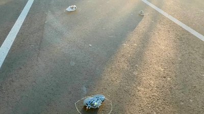 Смертельна ДТП Харківська область