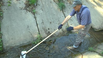 Русло річки Жидувка у Луцьку очищають від сміття та гілок Русло річки Жидувка у Луцьку очищають від сміття та гілок