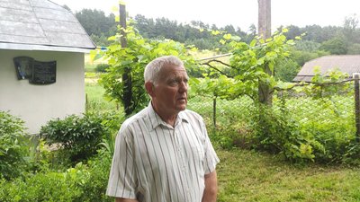 Племінник Племінник