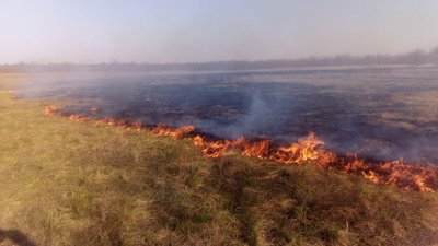 На Херсонщині за добу п'ять разів горіло в екосистемах