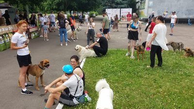 Благодійний забіг із собаками в Рівному. Як це проходить