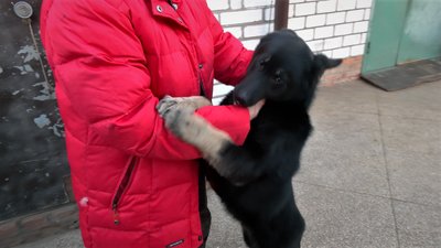"Я постійно молилася, щоб він був живий": жителька Циркунів — про окупацію та визволення "Я постійно молилася, щоб він був живий": жителька Циркунів — про окупацію та визволення