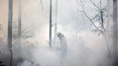 Європа на шляху до нового рекорду лісових пожеж — моніторинг ЄС