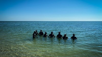 Спецпризначенці з Одеси та Києва взяли участь у водолазних навчаннях на Тендирівській косі Спецпризначенці з Одеси та Києва взяли участь у водолазних навчаннях на Тендирівській косі