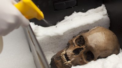 Археологи знайшли під мексиканським містом нові частини ацтекської вежі з черепів Археологи знайшли під мексиканським містом нові частини ацтекської вежі з черепів