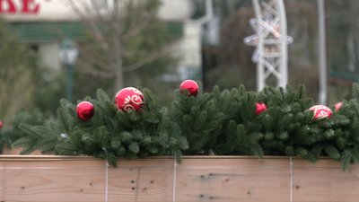 Новорічна гілка ялини з прикрасами на площі Свободи у Харкові Новорічна гілка ялини з прикрасами на площі Свободи у Харкові