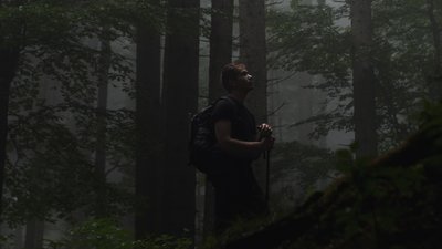 Кострича, Кукул та Ягідна. Які туристичні маршрути обирають мандрівники у Карпатах Кострича, Кукул та Ягідна. Які туристичні маршрути обирають мандрівники у Карпатах