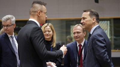 Глава МЗС Польщі Радослав Сікорський, глава МЗС Угорщини Петер Сійярто