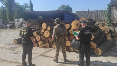 Збували за підробленими документами: на Вінниччині група осіб розкрадала деревину цінних порід