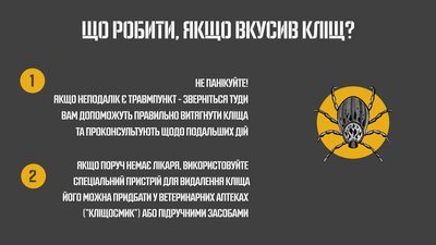 Хвороба Лайма: як діагностувати та лікувати Хвороба Лайма: як діагностувати та лікувати