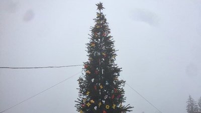 Що відомо про новорічні ялинки у райцентрах на Полтавщині Що відомо про новорічні ялинки у райцентрах на Полтавщині