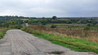 Вмикає обігрівач та чекає гроші за пай. Жительці Бережинки на Кіровоградщині немає за що купити дров Вмикає обігрівач та чекає гроші за пай. Жительці Бережинки на Кіровоградщині немає за що купити дров