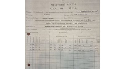 Світловодчани зупинили вирубку дубів у Кирилівському лісництві. Поліція перевіряє законність Світловодчани зупинили вирубку дубів у Кирилівському лісництві. Поліція перевіряє законність