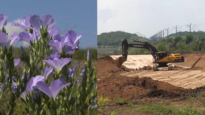 На Дніпропетровщині, біля балки з рідкісною флорою й фауною, зводять промисловий об'єкт (репортаж)