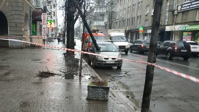 У Харкові від вітру впало сім дерев: одне пошкодило машину в центрі міста У Харкові від вітру впало сім дерев: одне пошкодило машину в центрі міста