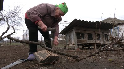 Любов Миронівна рубає дрова. Анисів, Чернігівщина Любов Миронівна рубає дрова. Анисів, Чернігівщина