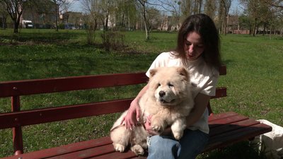 Кліщі у Рівному: де їх найбільше та як вберегти домашніх улюбленців