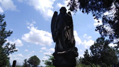 Старе миколаївське кладовище планують внести до історичних маршрутів Старе миколаївське кладовище планують внести до історичних маршрутів