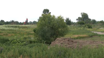 Ділянка, де планують побудувати завод Ділянка, де планують побудувати завод
