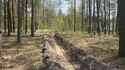На Житомирщині лісівники відмежували лісові масиви від населених пунктів мінералізованими смугами