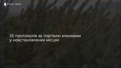 У Чернігові склали 16 протоколів за торгівлю ялинками у невстановлених місцях