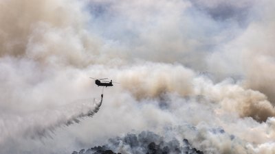 У заповідній зоні біля Афін спалахнула масштабна лісова пожежа