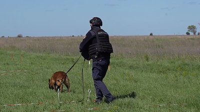 Розмінувальник Андрій Балашов разом з собакою-сапером Квадом у полі Розмінувальник Андрій Балашов разом з собакою-сапером Квадом у полі