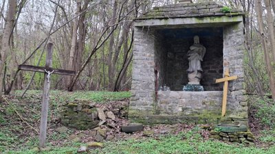 Розкопки в Плужниках, Тернопіль
