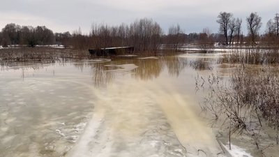 Найбільша повінь за 129 років: на Новгород-Сіверщині Десна розлилася у січні